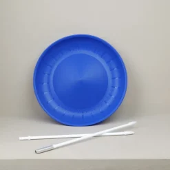 Assiette chinoise et baguette