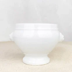 Bol à soupe tête de lion porcelaine blanche