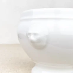 Bol à soupe tête de lion porcelaine blanche