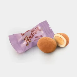 Boîte de pralinés au chocolat Amatllons 100 g