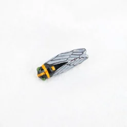 Broche cigale