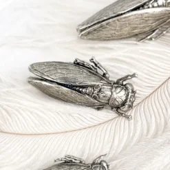 Broche cigale vieil argent
