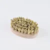 Brosse pour coquillages