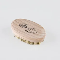 Brosse pour coquillages