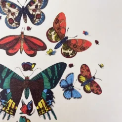 Cahier A5 motifs papillons