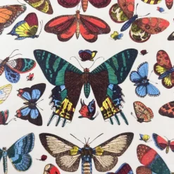 Cahier A5 motifs papillons