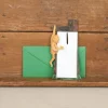 Cartes animaux en relief
