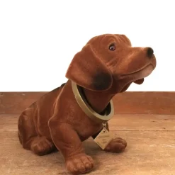 Chien qui bouge la tête