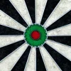 Cible de fléchettes de compétition