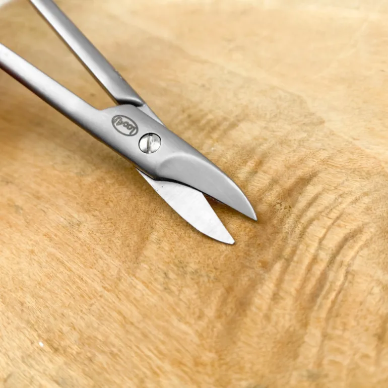 Ciseaux pédicure