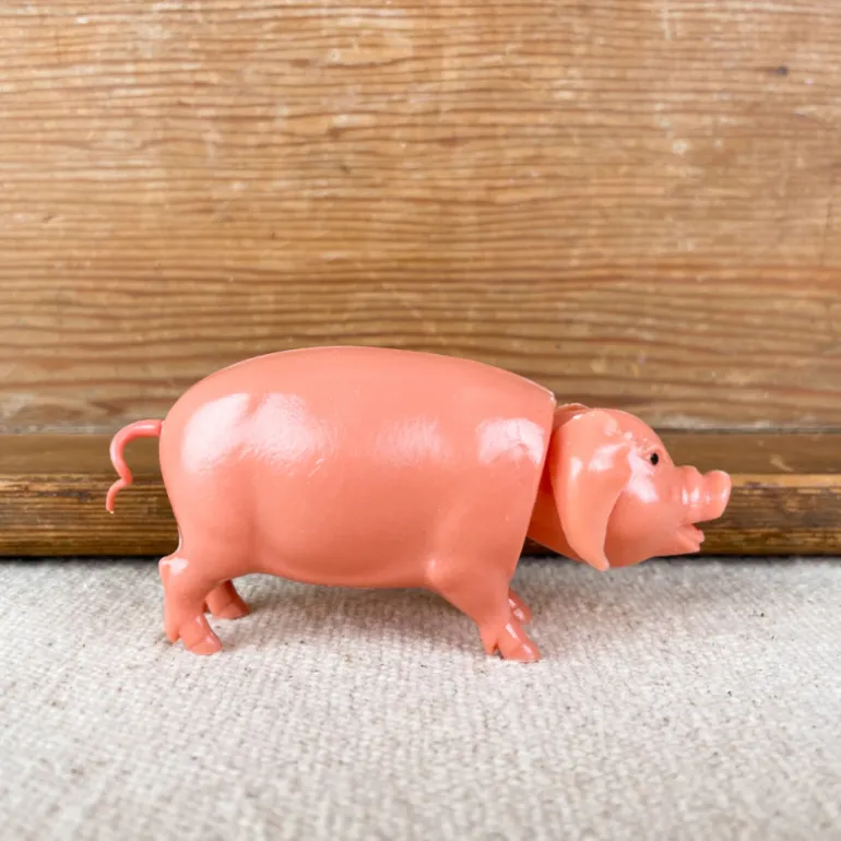 Cochon qui hoche la tête