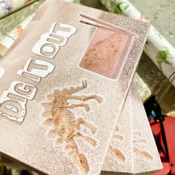Coffret de paléontologie