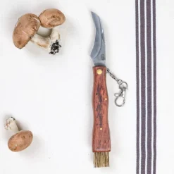 Couteau de poche à champignons