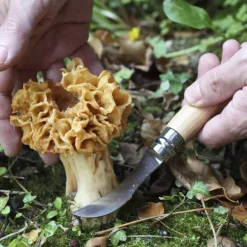 Couteau plumier à champignon n°8 Opinel