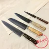 4 couteaux de cuisine avec manches aux essences variées
