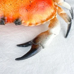 Crabe décoratif