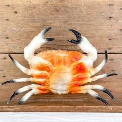 Crabe décoratif