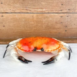 Crabe décoratif