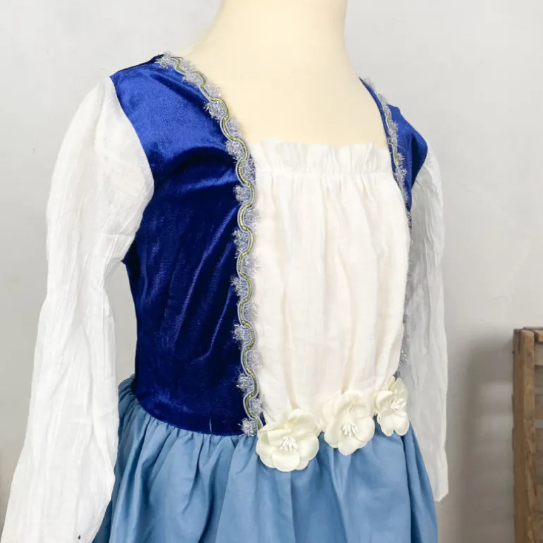 Déguisement robe de princesse bleue