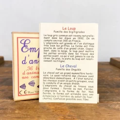 36 empreintes d'animaux
