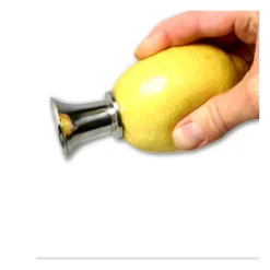 Extracteur de jus de citron