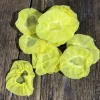 Filets presse-citrons