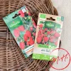 Graines de Fraisier