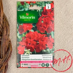 Graines de Géranium rouges