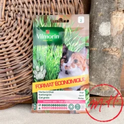 Graines Herbe à chat