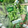 Graines plantes aromatiques