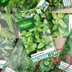 Graines plantes aromatiques