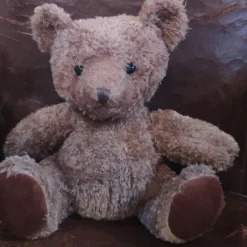 Grand Ours brun Martin