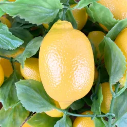 Guirlande de citrons