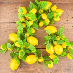 Guirlande de citrons