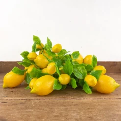 Guirlande de citrons