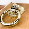Heurtoir de porte tête de lion en laiton poli