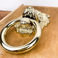 Heurtoir de porte tête de lion en laiton poli