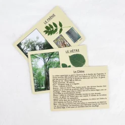 J'apprends à reconnaître les arbres