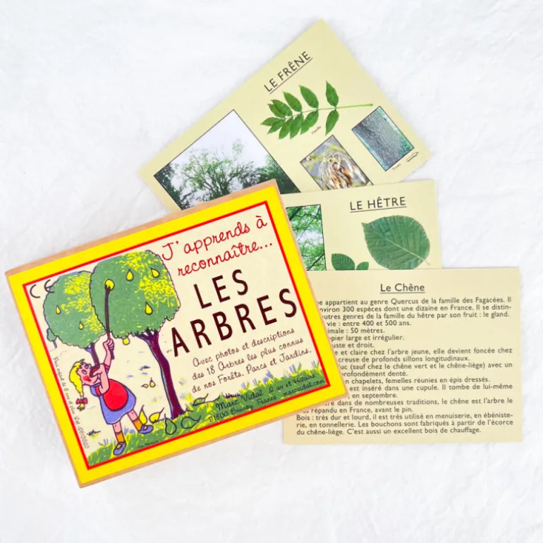 J'apprends à reconnaître les arbres