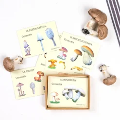 J'apprends à reconnaître les champignons