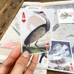 Jeu 54 cartes 3D oiseaux