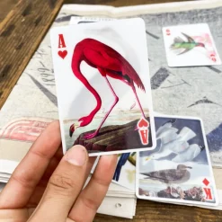 Jeu 54 cartes 3D oiseaux