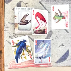 Jeu 54 cartes 3D oiseaux