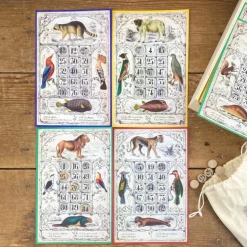 Loto Museum national d'Histoire naturelle