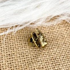 Pins Taureau