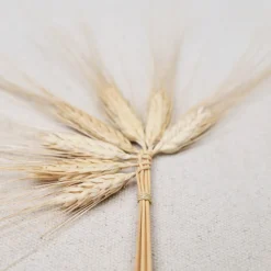 Épis tressés de la Saint Jean