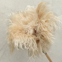 Plumeau en plumes d'autruche 70 cm