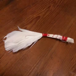 Plume à badigeonner