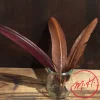 Plume d'écriture