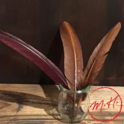 Plume d'écriture